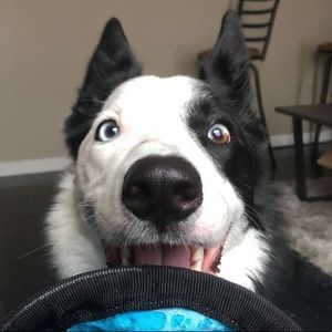 Meet your Posher, Deb